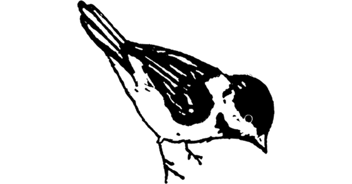 Birdies