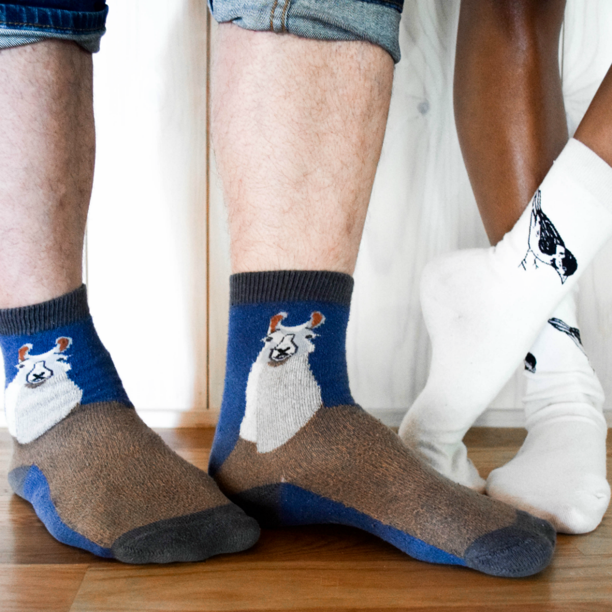 monthly dress sock club Duo Sock Subscription